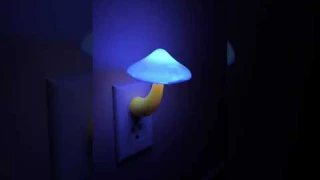 Mushroom nightlight review  #amazonfinds