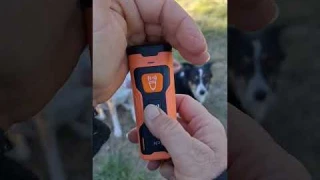 NPS Anti-Bark Device Watch It In Action