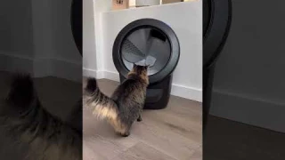 I am SO excited to finally upgrade to the Litter-Robot 4! My cats are going to have a fancier toilet