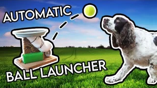 Building My Dog an Automatic Ball Launcher!