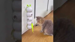 Smart Caterpillar Cat Toy | Motion Toy for Indoor Cats 🐾