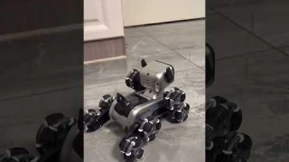 8-Wheel RC Stunt Dog! Gesture Control Robot Car Toy Review 🤖