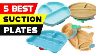 Top 5 Best Suction Plates 2024 [ Reviews and Buying Guide ]