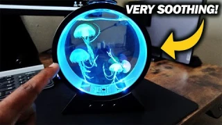 Eyesound Jellyfish Lamp Review | Relaxing Lamp Under $30