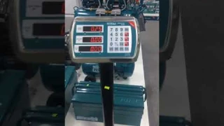 Total electronic scale 300kg