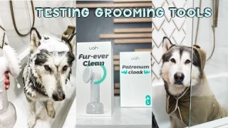 Automatic shampoo foam dispenser for grooming large wooly dogs | Uah Fur-ever clean