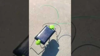 Solar Grasshopper Toy #shorts