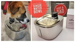 iPettie Runway Cat / Dog Water Fountain Motion Sensor Water Bowl Review