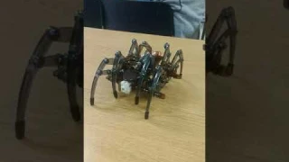 STEM DIY Spiderbot Kit