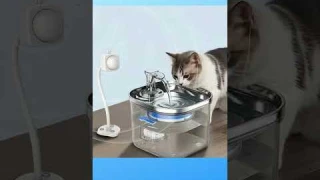 “Smart Pet Water Fountain With Motion Sensor!