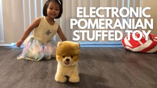Electronic Walking Pomeranian Stuffed Dog Toy