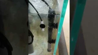 WaveReef smart titanium heater with unique feature "The 3-sensor temp probe to prevent failures"