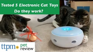 Electronic Cat Toy Reviews | Do They Work? | (We Tested Them All)