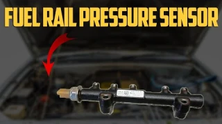 Top 5 Bad Fuel Rail Pressure Sensor Symptoms & Replacement Cost