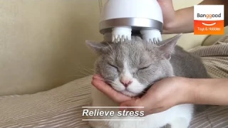 Pet Head Massager丨3D Waterproof Electric Wireless Scalp Massager - Banggood.com