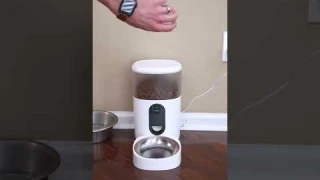 Smart Pet Feeder! 🐶 🐱