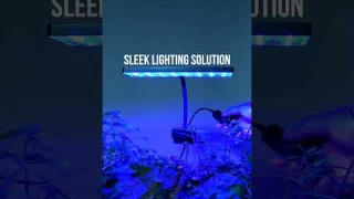 NEW Aqua Worx EOS Aquarium LED Lighting #shorts