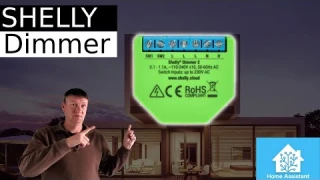 Using Shelly Dimmer 2 with Home Assistant - Smart Home