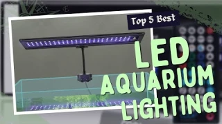 Top 5 Best Led Aquarium Lighting Review in 2026