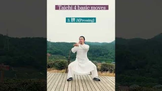 Taichi 4 basic moves
