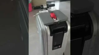 SE3S Smart Luggage Demo – Auto Handle & Phone Charging for All Ages  🧳⚡