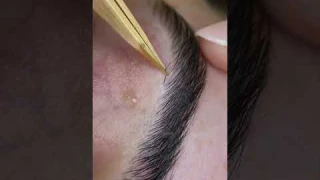 Pointed Tweezers For Stubborn Eyebrow Hairs