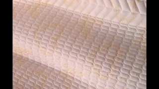 Lock stitch quilting machine can make latex bed-mat for summer.