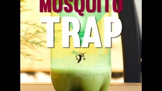 Easy Mosquito Trap | Outdoor DIY