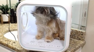 Homerunpet Drybo Plus BEST Automatic Hair Dryer for Cats, Dogs, and Pets.