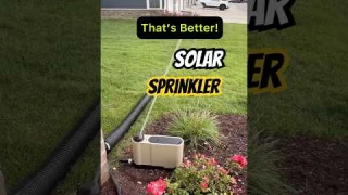 Oto Lawn Solar Sprinkler Changes the Game! #lawn