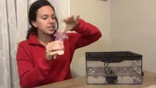 Ultra Quiet Cat Water Fountain Review – Perfect for Pets