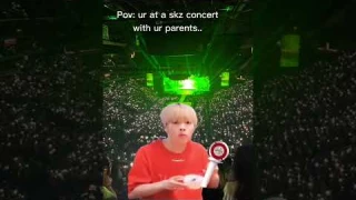 Why u should never go to Stray Kids concert 😭😭..#kpop #straykids #skz #jeongin#hyunjin#stay #felix