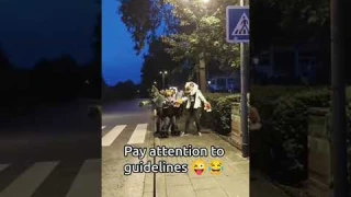 don't break the law #furry #cosplay #fun #furryfriend #fursuit #furries #fursona #law #guidline