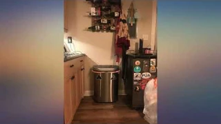 NINESTARS Automatic Touchless Infrared Motion Sensor Trash Can//Recycler with D review