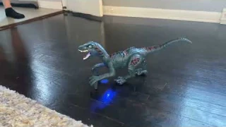 Review of Remote Control Dinosaur Toys Kids - Jurassic Velociraptor Toys Imitates Walking and Sounds