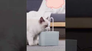 Cat Water Fountain Auto Filter USB Electric Mute Cat Drinker Bowl 1.5L Recirculate