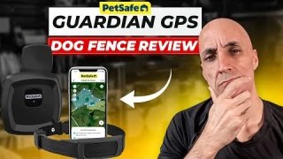 PetSafe Guardian GPS Dog Fence Review | No Fees, Real-World Testing