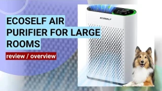 ECOSelf HAP602 Air Purifier Review: Is It the Best for Large Rooms?