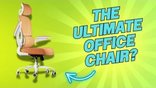 TRALT Office Ergonomic Desk Chair Review