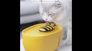 USB Electric Mute Drinker Bowl 2L Recirculate Filtering Drinker for Cats