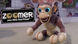 New ZOOMER CHIMP Interactive Monkey ROBOT [First Look DEMO] Toy Fair 2016