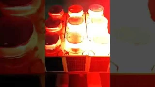 2000cd Solar Powered Medium Intensity Obstacle Light ,Red LED Flashing & Constant Light Night Marker