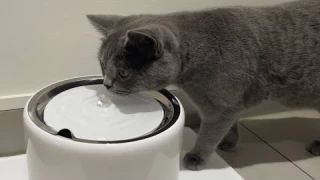 PETKIT EverSweet 3 Pro Smart Pet Drinking Fountain (with wireless pump)