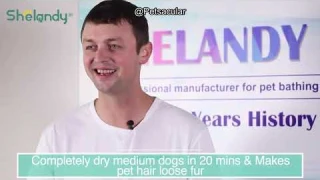 SHELANDY Groomer Partner Pet Hair Dryer Review: Is It Worth the Investment for Pet Owners?