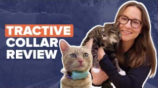 Tractive CAT Mini GPS Tracker Review - Does It Really Work?