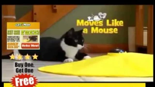 Remote Control Cat Toy ! Cat Toy ! Cats Meow Toy ! As Seen On Tv !