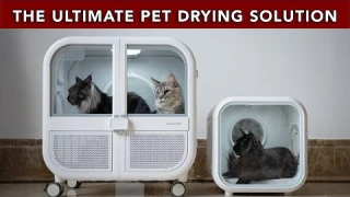 The Ultimate Pet Drying Solution | Homerunpet Drybo Plus Pet Dryer.