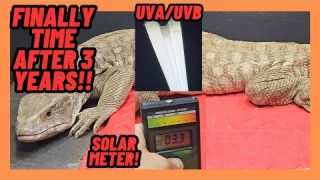 TIME TO REPLACE LIZARD UVB TUBE LIGHT! FINALLY! INSTRUCTIONS!