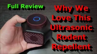 Why We Love This Ultrasonic Rodent Repellent - Full Review!