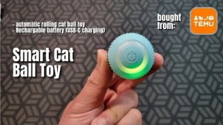 Smart Cat Ball Toy (from Temu)